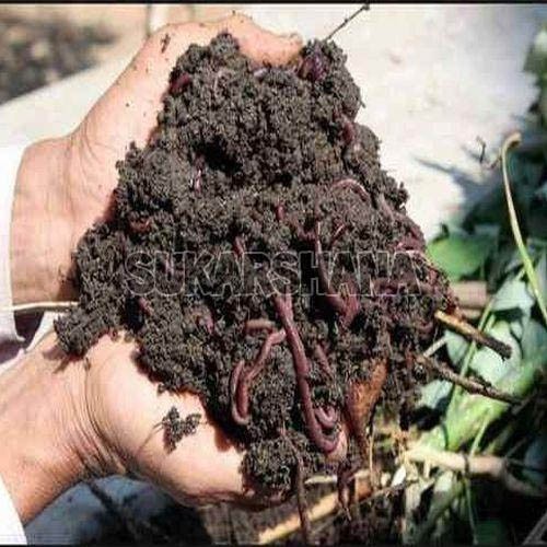 Pure Vermicompost Fertilizer 1Kg Manufacturer